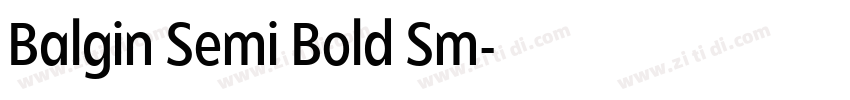 Balgin Semi Bold Sm字体转换